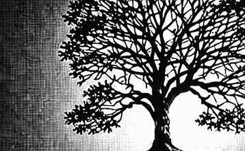 Pi Network‘s UI Facelift Won’t Mask the Coming Liquidity Cascade