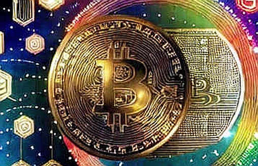 The Empty Ledger: When Analysis Finds Nothing, The Market Speaks Volumes