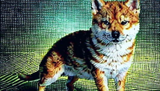 The CLARITY Signal: Why Regulatory Sclerosis Is the Real Bear Market