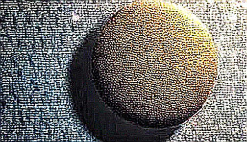 The 19% That Rewrote the Narrative: SK Hynix and the AI-Crypto Memory Shock