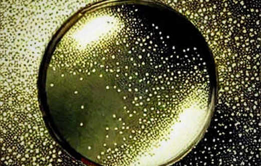 The Insider's Edge: How Kalshi's CFTC Probe Exposes the Flaw in Centralized Prediction Markets