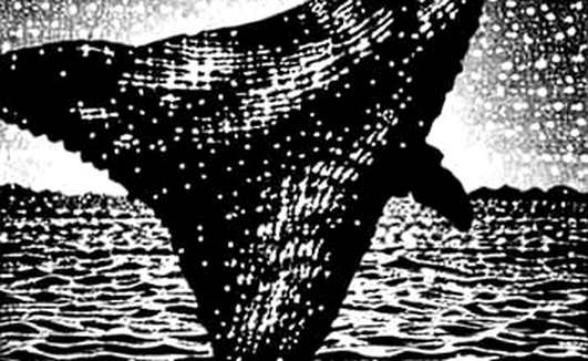 The Claynosaurz Trap: Why Your NFT-Backed Animation Is a Liquidity Mirage The Claynosaurz Trap: Why Your NFT-Backed Animation Is a Liquidity Mirage