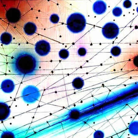 The 13.5% Signal: Why Prediction Markets Are Telling You a Truth You Don't Want to Hear