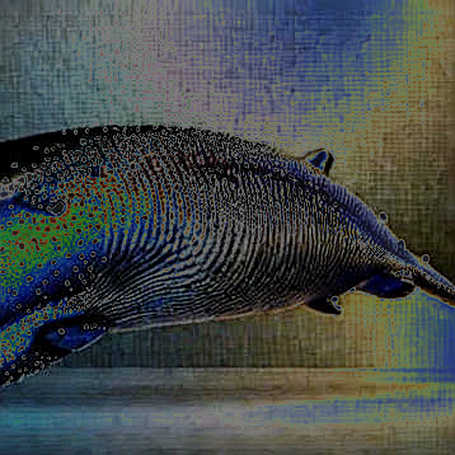 Penguins, Press Releases, and the Geometry of Desperation: What LBank's Pudgy Play Reveals About Tier-2 Exchange Survival Penguins, Press Releases, and the Geometry of Desperation: What LBank's Pudgy Play Reveals About Tier-2 Exchange Survival
