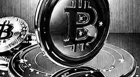 The Empty Array: Silent Data Failure Is the Bear Market's Most Expensive Bug The Empty Array: Silent Data Failure Is the Bear Market's Most Expensive Bug