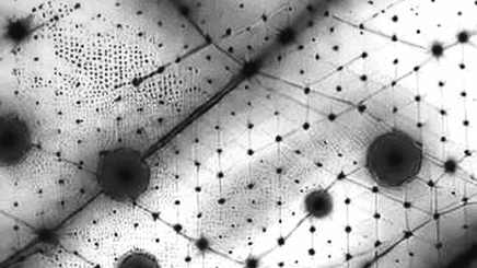 UBS's $90M Bitcoin ETF Boost: A Signal of Institutional Adoption or a Mirage of Client Flows?