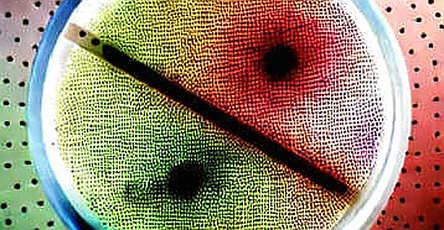 The Vacuum of Validation: Why Empty Data is the Industry’s Most Overlooked Failure