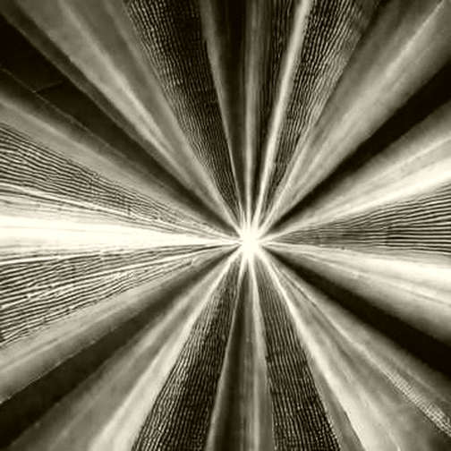 The Risky Bet: How One Protocol's High-Risk Innovation Could Redefine Its Market Position