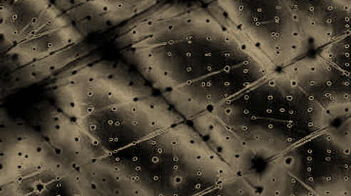The 124,000 Ghosts on BNB Chain: A Data Detective's Deep Dive into the RWA Holder Surge