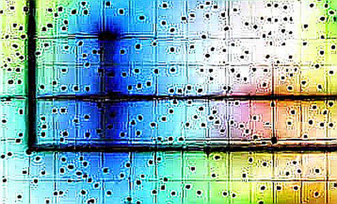 The Silent Crisis of Layer2 Centralization: What the Market Ignores The Silent Crisis of Layer2 Centralization: What the Market Ignores