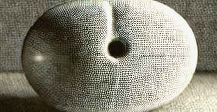 The Chain That Keeps Its Secrets: Prividium, the Bundesbank, and the Quiet Covenant of Institutional Privacy The Chain That Keeps Its Secrets: Prividium, the Bundesbank, and the Quiet Covenant of Institutional Privacy