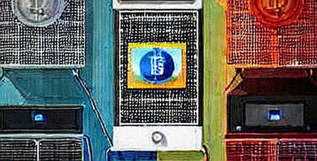 Jimothy the Raccoon: A 50x Lesson in the Ghosts of Meme Coin Machines