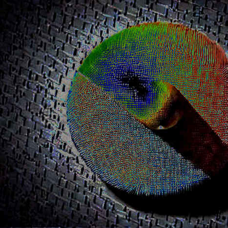 The Data Void: How Missing Information Cripples Blockchain Analysis in a Bull Market The Data Void: How Missing Information Cripples Blockchain Analysis in a Bull Market